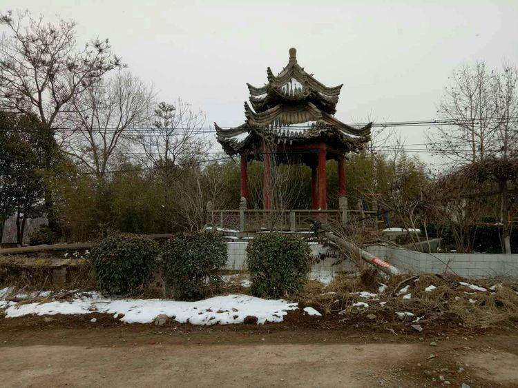 111.jpg